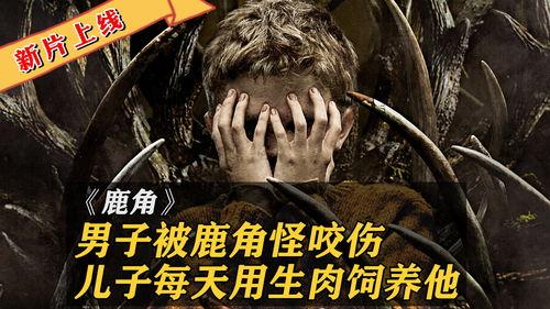 在线观看鹿角,揭秘自然界的神奇生长之谜