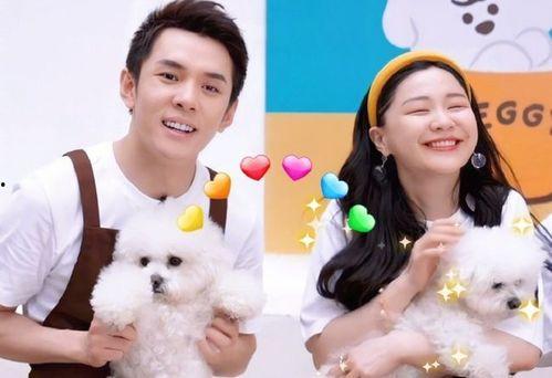 金靖最新爆料新闻,揭秘娱乐圈不为人知的幕后故事