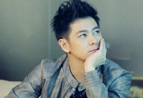 狗仔爆料林志颖视频下载,揭秘林志颖私密视频下载幕后真相