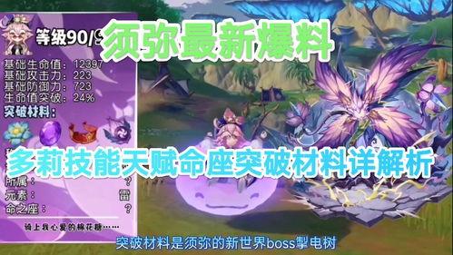 须弥爆料大全攻略最新篇,最新篇章深度解析