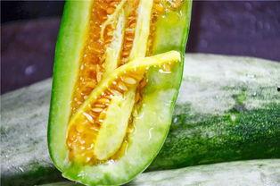 滨州吃瓜网红是谁,网络红人背后的故事