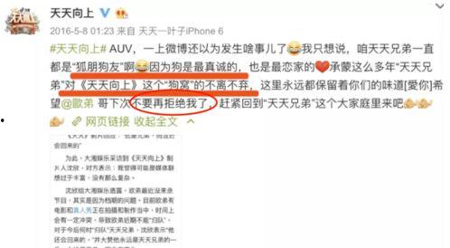 娱乐圈爆料网站有哪些,揭秘明星幕后故事