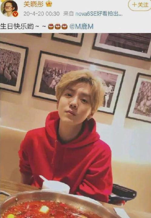 鹿晗爆料视频大全集,揭秘明星背后的真实生活