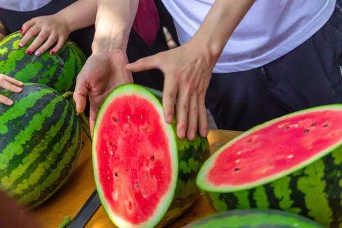 吃瓜免费现在,揭秘网络热词背后的秘密