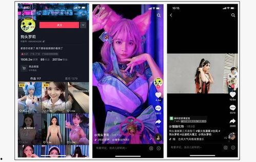 呆呆的爆料视频,幕后真相大曝光！