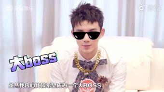 吴磊采访近期爆料视频,近期热点事件幕后真相